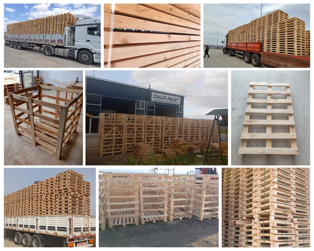 Titchfield Wooden Pallets, Buy Wooden Pallets Wholesale